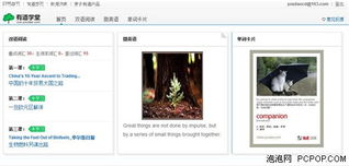 有道词典v5携手柯林斯，打造权威免费词典与翻译新标杆